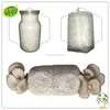 /product-detail/2018-lowest-price-high-quality-oyster-mushroom-spawn-grow-bags-60718966627.html
