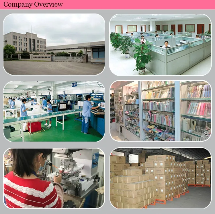 company information2.jpg