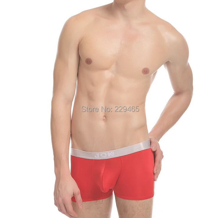 Men's silver edge comfort breathable nylon men's boxer underwear panties transparent sexy gay man underpants sheer trunk