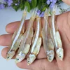Dried Small fish salt-water forage fish Engraulis japonicus for fish meal