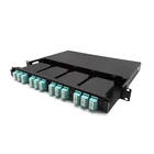 Optic Optical Wholesale Customized Optic Switch Amp 24 16 8 4 2 Port Fiber Patch Panel