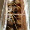 /product-detail/3-inch-fireworks-shells-50046105238.html