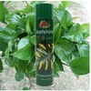 /product-detail/400ml-leaf-shine-spray-60405075272.html