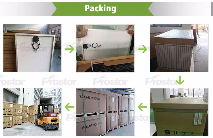 9. Poly Product Packing