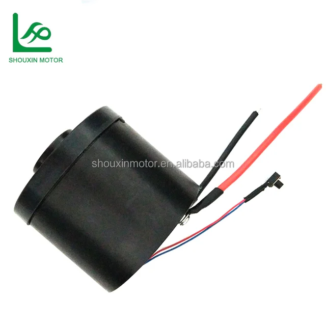 BLDC 60A Waterproof Vacuum Cleaner Parts Brushless Dc Motor