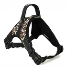 Soft Mesh Padding Outdoor Walking Pet Dog Harness,Safety Dog Harness With Belt,Oxford Pet Harness