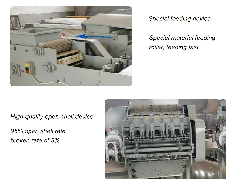 1 Automatic South Africa Raw Almond Nut Cashew Fruit Nut Shelling Peeling Processing Machine details