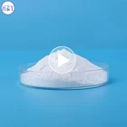 Soda ash dense big factory price and light 99.2% min