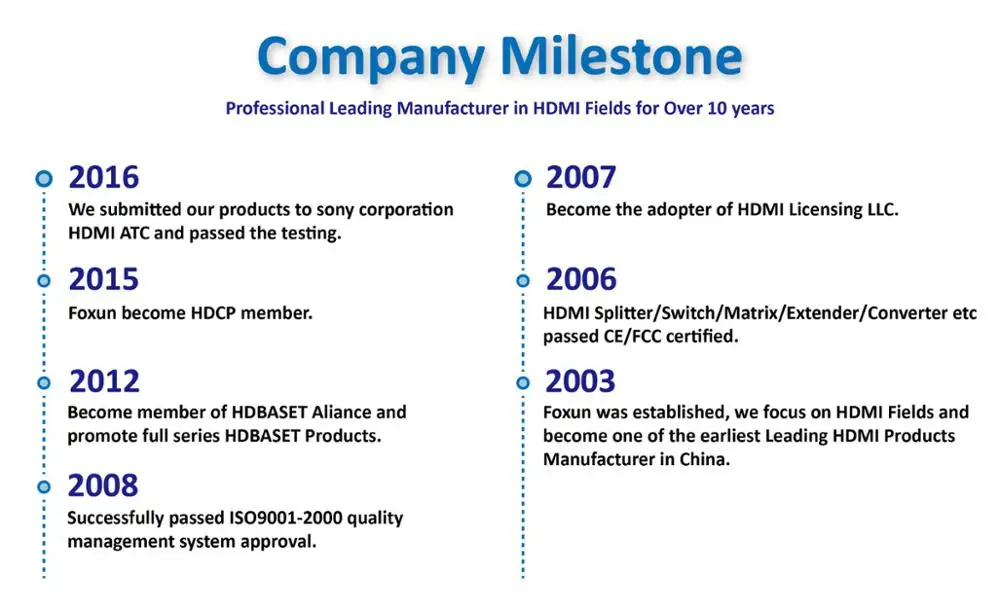Company Milestone.jpg