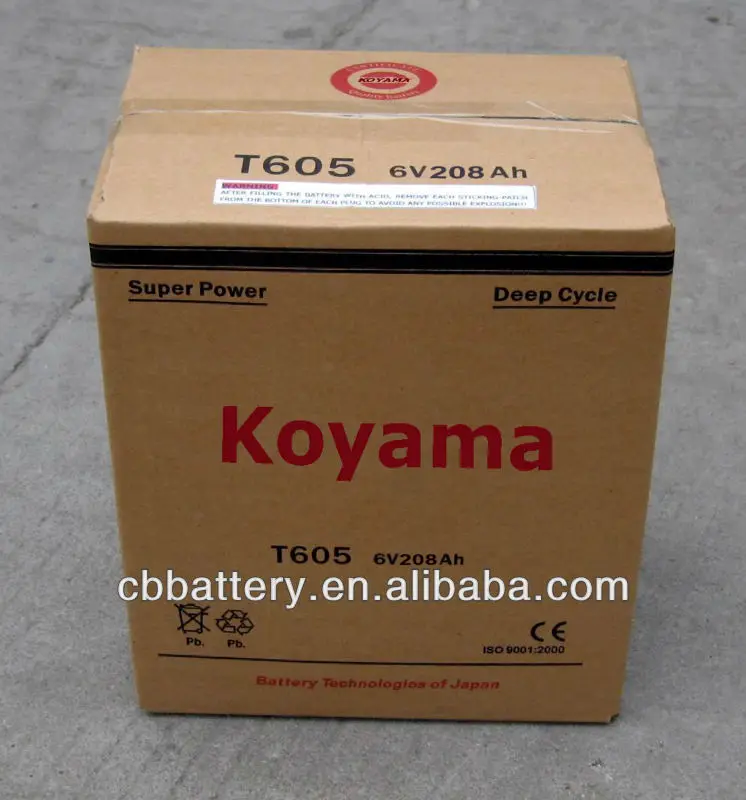 High Quality -Deep Cycle Battery -T605-6V208AH-for golf cart