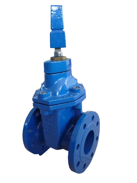 sand casting ductile iron gate valve bs 5163