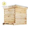 Beekeeping Tools 10 Frame American Beehive 20 Frame Complete Box Kit with Metal Roof for Langstroth Beekeeping