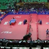 International indoor table tennis pvc sports surface