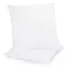 /product-detail/wholesale-18-vacuum-pillow-inserts-for-sofa-62003566203.html