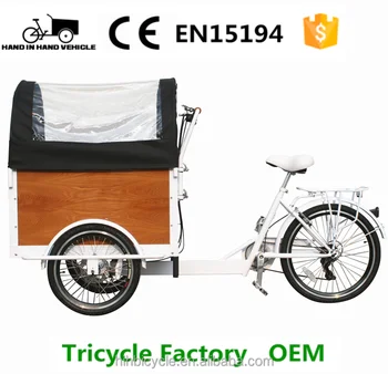 eco bike 3 wheels