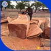 Great price and good quality wood logs Azobe logs Doussie logs