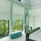 Blackout Window Shades, Transparent Fabric Custom Roller Blinds Shades