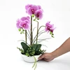 /product-detail/customized-color-new-design-artificial-orchid-in-pot-flower-bonsai-real-touch-flowers-60807992091.html