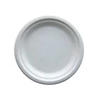 customized disposable biodegradable paper 7 inch sugarcane bagasse biscuit plate