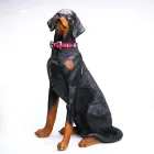 Hot Sale Fashion Custom Bow Tie Dog Collar