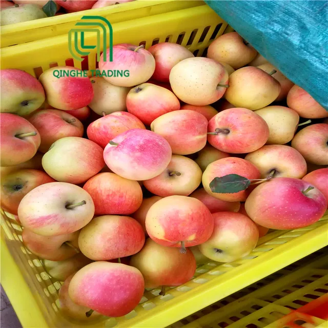 wholesale 2017 new arrival fresh fruit apple gala apple for sale