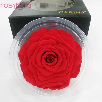 valentines day gift available stocks wholesale preserved