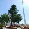 30m high mast lighting pole Beautify artificial tree communication steel tower
