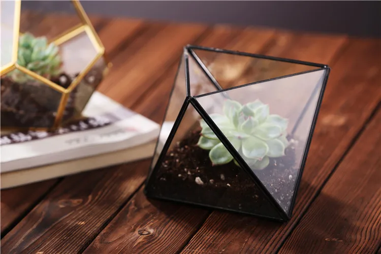 glass terrarium (2).jpg