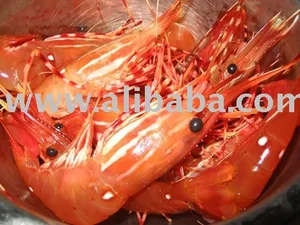 wild bc spot prawns