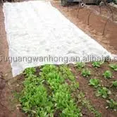 Garden Or Agriculture Or Plants Or