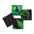 custom 3d lenticular picture promotional fridge magnet souvenir