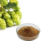 European Hop Flower Extract / Humulus Lupulus Extract