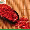 chinese manufacturer new crop dry red hot chilli powder for food factory
