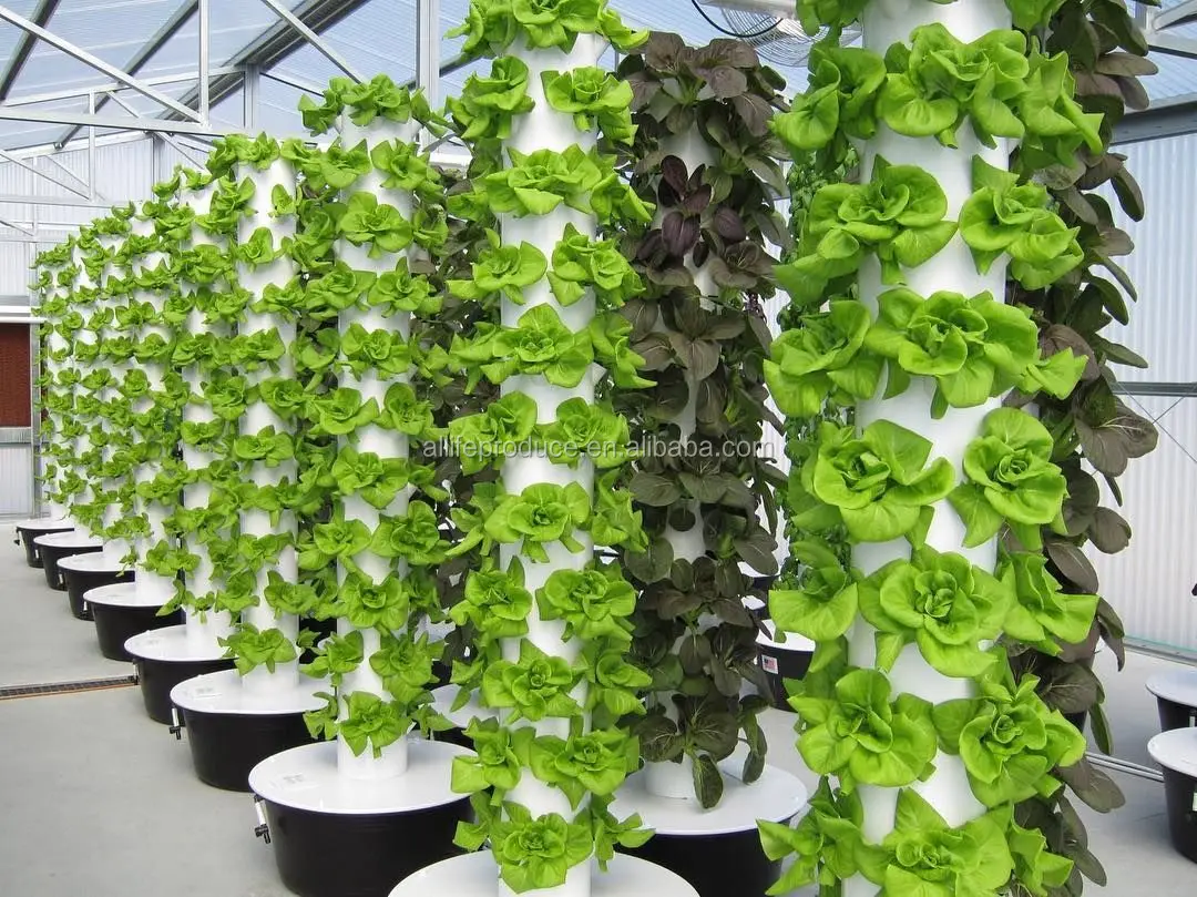 室内植物生长塔花园航空技术蔬菜生长系统