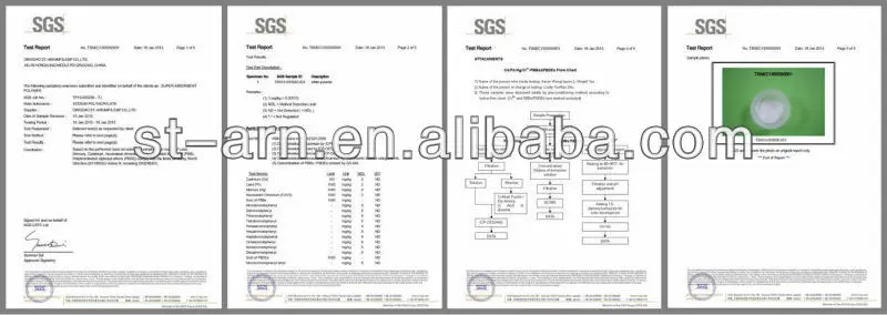 SGS-SAP.jpg