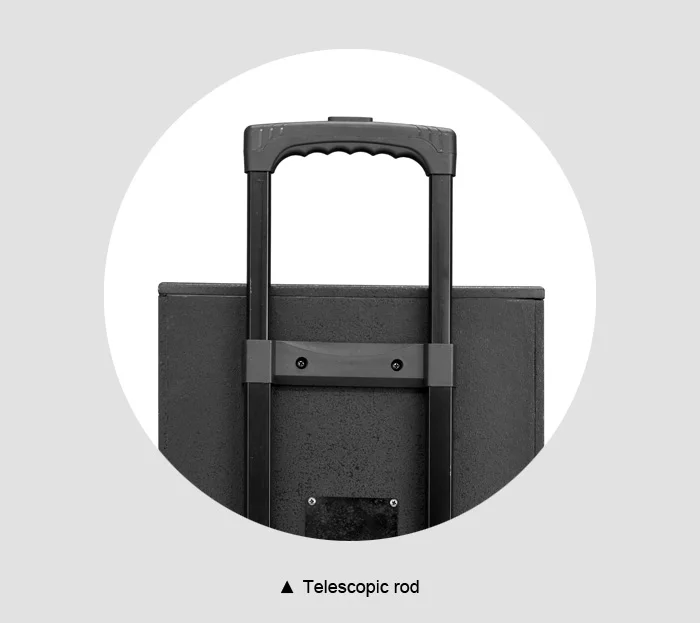 12 Inch Big Power Subwoofer DJ PA Woofer Speakers Outdoor Portable Trolley Speaker For Sale - ANKUX.COM