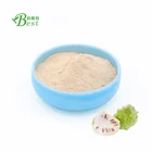 Fresh Noni Fruit Powder/Morinda Citrifolia Extract 4:1~20:1