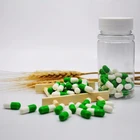 Wholesale OEM Slimming Weight Loss Capsules Natural Plants Cellulose Capsule