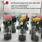 Preserved Flower Real Stabilized Roses Preserved Roses Rose Eternal Stem