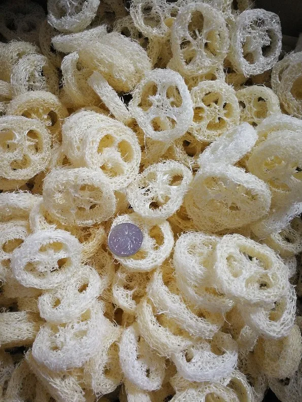 0000000000000000000000000000000000000000000000000000000000000000000000000000000000000000000000000000000000000000000000000000000000000000000000000000001 - 