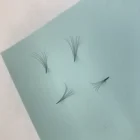 Unique Lashes Private label tray lashes premade volume fans russian lashes Eyelash Extensions heat bonded