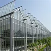 Agricultural 4mm glass greenhouse tempered glass for tomato and strawberry growing