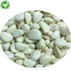 /product-detail/iqf-best-price-high-quality-peeled-frozen-garlic-60677218125.html