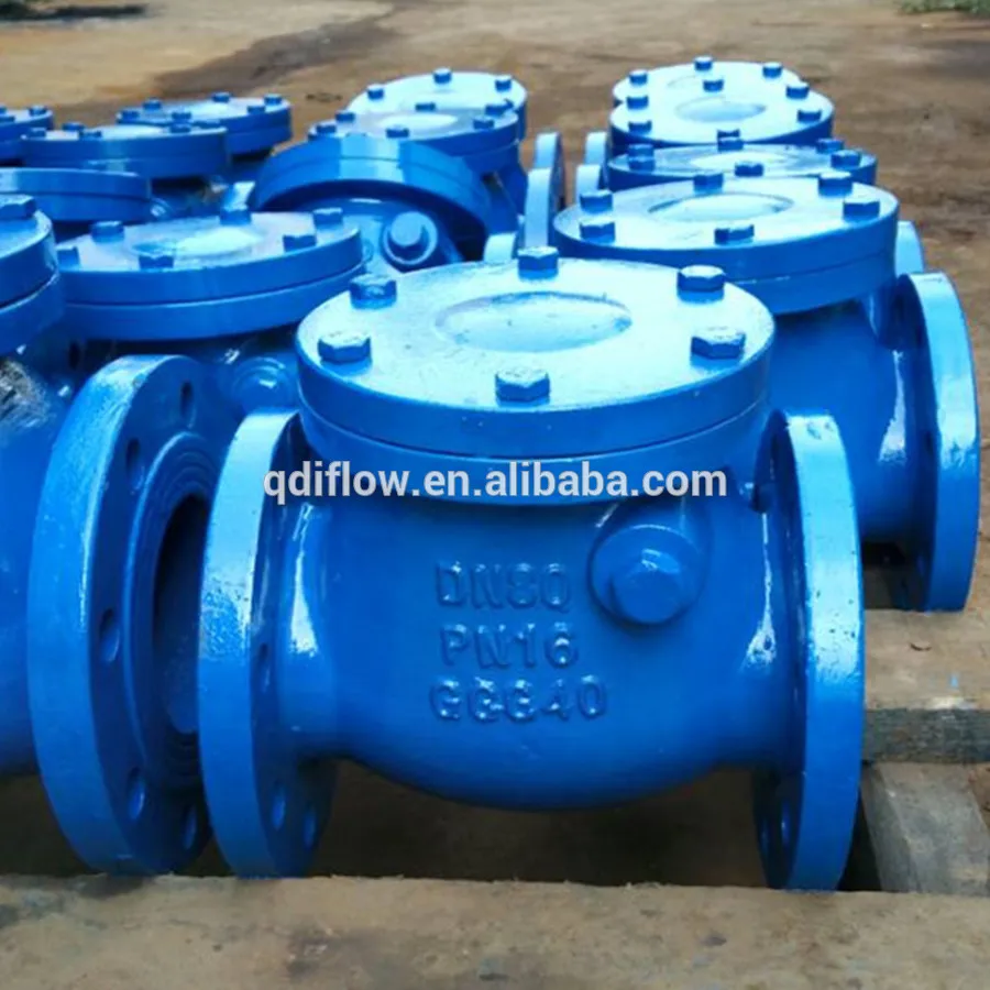 Din Pn Ductile Iron Double Flange Non Return Valve Dn Buy Double