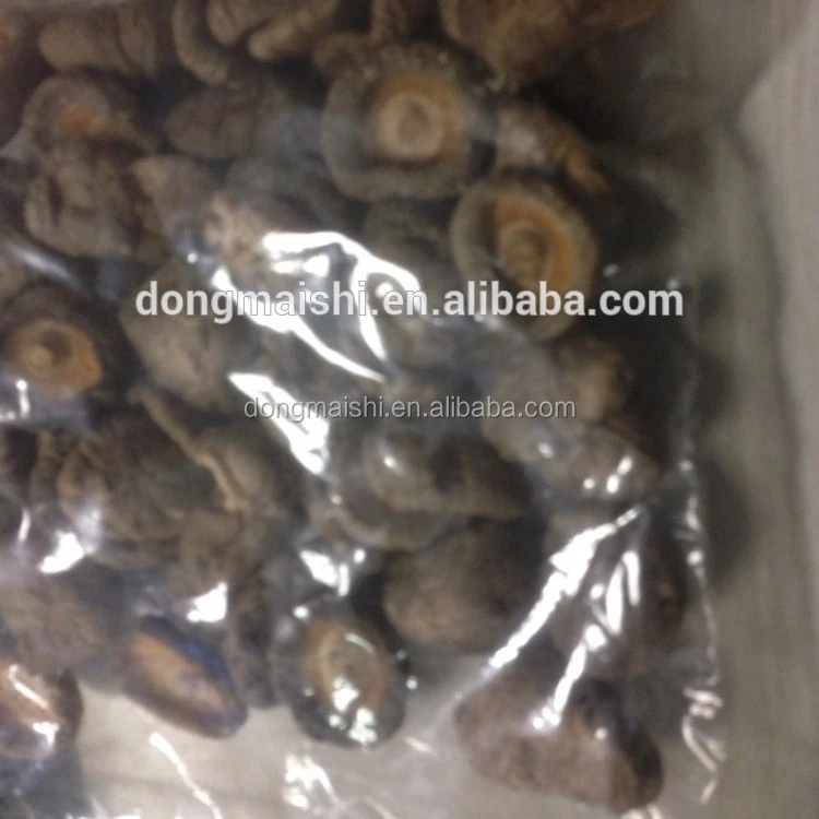 Dried Fungoid Mushrooms