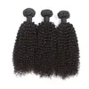 BF Free Shipping Unprocessed 100% Human Mink Virgin Hair , Afro Kinky Curly Cuticle Aligned Raw Virgin Hair