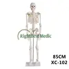 /product-detail/artificial-plastic-human-skeleton-200-bones-of-adult-human-skeleton-model-85cm-60335263929.html