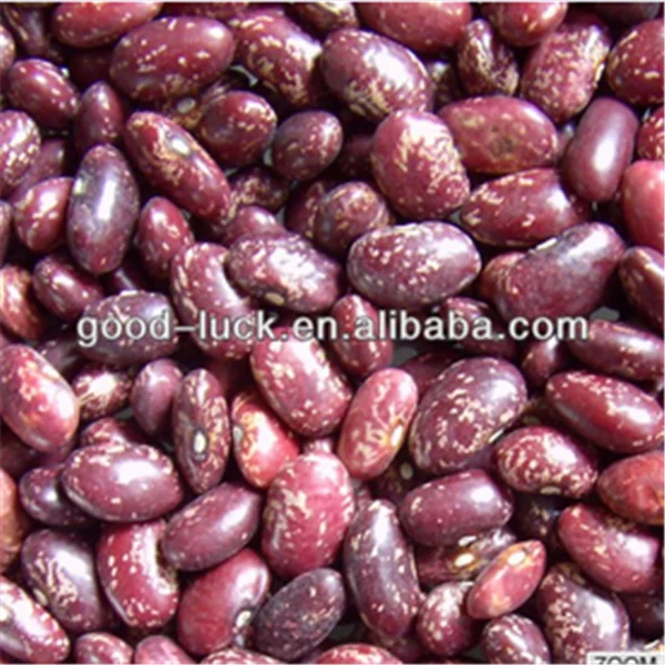 chinese split pinto light speckled kidney bean long shape market