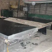 China Supplier Building Materials Plywood Sheet