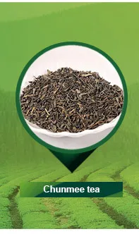 catalog_01.jpg